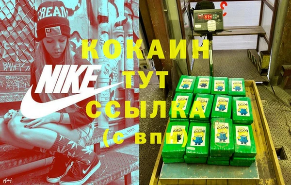 прущие крисы Богданович